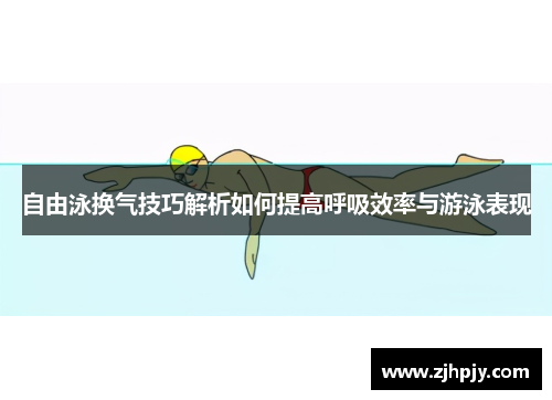 自由泳换气技巧解析如何提高呼吸效率与游泳表现