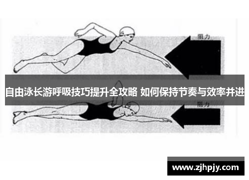 自由泳长游呼吸技巧提升全攻略 如何保持节奏与效率并进